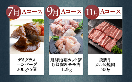 どやな まるごと定期便 Aコース 6回 飛騨市 牛肉 野菜 定期便