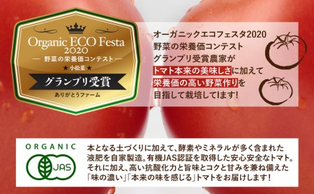 事前予約 期間 数量限定 ひだかみ流葉 コクと旨味の有機大玉トマト 有機jas認定 合計2kg Q634 岐阜県飛騨市 ポイント制ふるさと納税 ふるなびカタログ