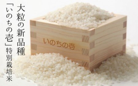 【10月中旬より発送】先行予約 新米 令和5年産 いのちの壱 5kg 特別栽培米 玄米対応可能[Q639] syun14