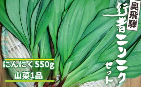 《先行予約》奥飛騨産 とれたて新鮮 生行者ニンニク 550g 山菜1品 行者ニンニク 行者にんにく 醤油漬け[Q654xch] syun123