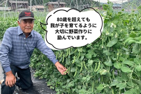 【2025年先行予約】飛騨 スナップエンドウ 1kg スナップえんどう国産 産地直送 野菜[Q719rex] syun169