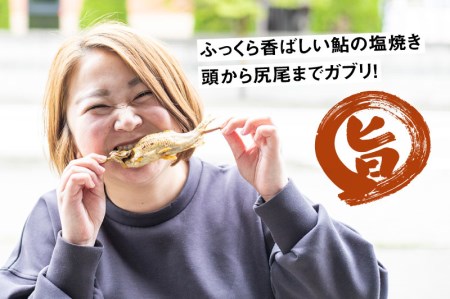 鮎の塩焼きと鮎の一夜干しセット　岐阜県産 あゆ アユ 鮎[Q712wx]