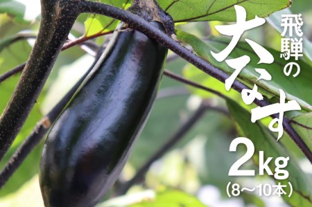 飛騨の大なす 2kg 8 10本 茄子 ナス なす 産地直送 夏野菜 Q721 岐阜県飛騨市 ふるさと納税サイト ふるなび
