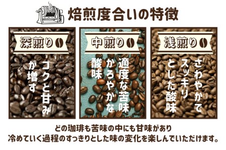 珈琲 豆 ブレンドコーヒーお試しセット イタリアン(深煎り)150ｇ あすなろ(中煎り)150g ドリップバッグコーヒー1袋付き [Q1358x]