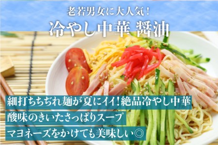 【夏季限定 4～9月発送】冷やし中華 ノーマル＆梅味 計12食（2食入3袋）× 2 常温保存 老田屋 [Q744wx]