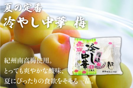 【夏季限定 4～9月発送】冷やし中華 ノーマル＆梅味 計12食（2食入3袋）× 2 常温保存 老田屋 [Q744wx]