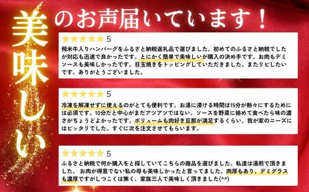 飛米牛デミハンバーグ (200g×5枚) ハンバーグ 簡単調理 湯せん 温めるだけ [Q2452]