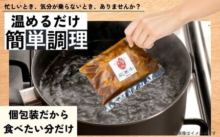 飛米牛デミハンバーグ (200g×5枚) ハンバーグ 簡単調理 湯せん 温めるだけ [Q2452]