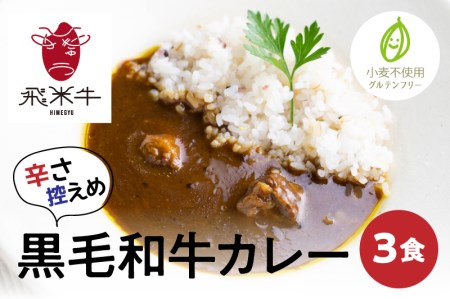 飛米牛グルテンフリーカレー 3食 180g 3パック レトルト 小麦粉不使用 Q762 岐阜県飛騨市 ふるさと納税サイト ふるなび