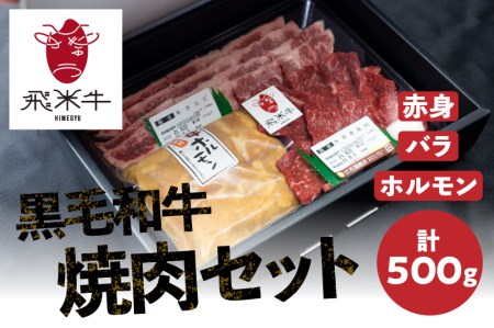 《簡易包装》飛米牛 焼肉セット（合計500g）赤身・バラ肉 各150g　味付けホルモン200g　焼肉 BBQ バーベキュー[Q763khx]