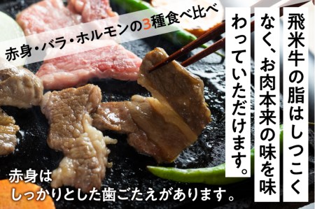 《簡易包装》飛米牛 焼肉セット（合計500g）赤身・バラ肉 各150g　味付けホルモン200g　焼肉 BBQ バーベキュー[Q763khx]