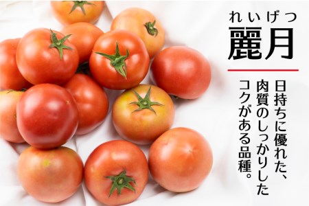 《先行予約》令和8年産 飛騨トマト 約1.8kg 