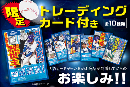 中日ドラゴンズコラボ 創業110年の味噌煎餅専門店の味噌煎餅 18枚入り詰め合わせ セット 菓子 袋入りなのでちょっとした手土産にも 飛騨 井之廣製菓舗 飛騨古川 飛騨市[DR033_u]