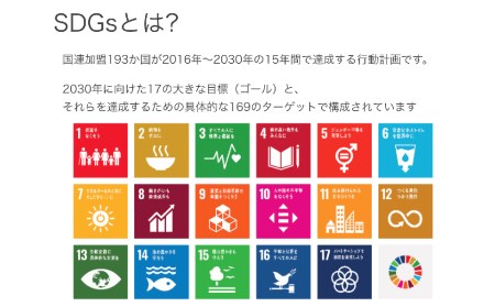 SDGsの基礎講座についての講義（60分） 体験型 体験型返礼品 オンライン 講演 個人セッション［Q905］