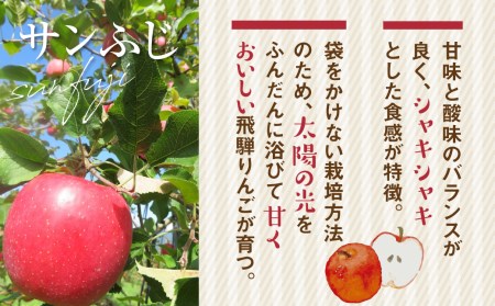 【11月下旬～1月上旬発送】《訳あり》りんご サンふじ 約5kg 15～20玉 飛騨りんご 林檎 黒内果樹園 果物 国産 飛騨産 ご家庭用 家庭用 無袋栽培［Q843］ syun35