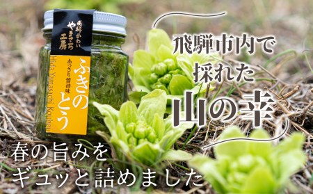 飛騨産 山のめぐみ3種 山菜 国産 佃煮 ご飯のお供 セット 詰め合わせ ギフト 贈答 お中元 お歳暮 Q850 岐阜県飛騨市 ふるさと納税サイト ふるなび