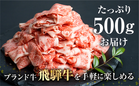 《簡易包装》《訳あり》飛騨牛 切り落とし スライス 500g (250g × 2 小分け ) 焼肉 牛肉 肉 不揃い わけあり ワケアリ 部位おまかせ 焼き肉 黒毛和牛 和牛 国産 すき焼き 肉じゃが 炒め物 個包装 ［Q1020x］