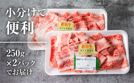 《簡易包装》《訳あり》飛騨牛 切り落とし スライス 500g (250g × 2 小分け ) 焼肉 牛肉 肉 不揃い わけあり ワケアリ 部位おまかせ 焼き肉 黒毛和牛 和牛 国産 すき焼き 肉じゃが 炒め物 個包装 ［Q1020x］