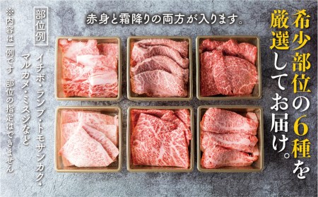 焼肉 6種食べ比べ 希少部位 各100g 計600g 牛肉 肉 部位おまかせ 赤身