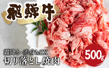 【訳あり】飛騨牛 霜降り 赤身 ミックス 切り落とし 焼肉 500g 訳あり 訳アリ わけあり ワケアリ 不揃い 焼き肉 牛肉 和牛 バラ モモ カタ 飛騨市 [Q1023x] 18000円