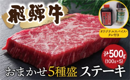 飛騨牛おまかせステーキ５種類盛　各100g（計500g） ｽﾊﾟｲｽ・ﾀﾚ付き 部位お任せ 牛肉 和牛 ステーキ 食べ比べ 贈り物 ギフト 飛騨市[Q1040x]