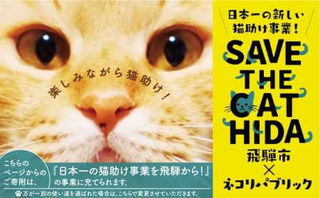 【期間限定】2022年にゃんにゃん手焼き最中アイスセット 10個 バニラ 抹茶 あん抹茶 いちご コーヒー お菓子 スイーツ ギフト モナカ 詰め合わせ (SAVE THE CAT HIDA支援)16000円 [neko_j7]