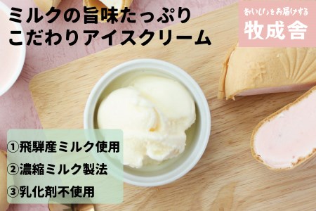 【期間限定】2022年にゃんにゃん手焼き最中アイスセット 10個 バニラ 抹茶 あん抹茶 いちご コーヒー お菓子 スイーツ ギフト モナカ 詰め合わせ (SAVE THE CAT HIDA支援)16000円 [neko_j7]