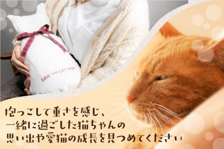 猫 だっこ米 にゃんこめ ネコ体重米 白米 お米 猫 グッズ ギフト プレゼント(SAVE THE CAT HIDA支援)20000円 [neko_j8]