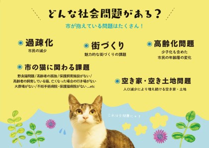 SAVE THE CAT HIDA PROJECTへの返礼品なしの寄附　猫の殺処分ゼロを目指すSocial Project![neko05]
