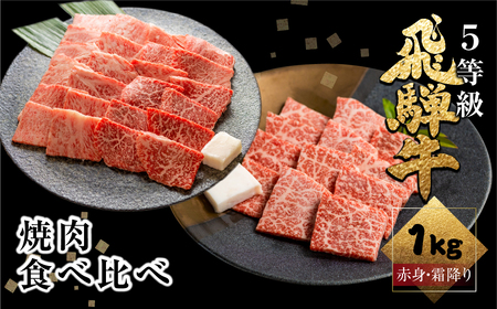 《1週間程度で発送》 飛騨牛ロース・うでもも食べ比べセット 計1kg(250g×4) 焼肉用 BBQ 国産牛 国産 牛肉 肉 厳選 熟成 贈答用 肉の沖村[Q1090]