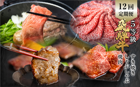 【ふるさと納税】定期便 全12回 飛騨牛 5等級 しゃぶしゃぶ すき焼き 焼肉 お楽しみ定期便 12ヵ月 ロース もも うで 食べ比べ 国産牛 国産 牛肉 肉 厳選 熟成 肉の沖村[Q1206]