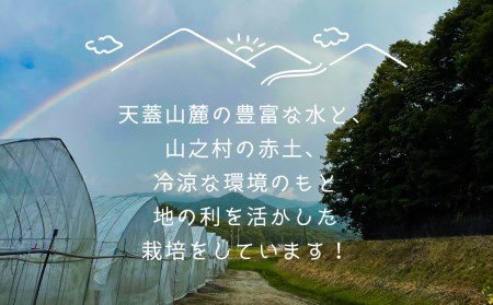 先行予約 令和7年産【6月～10月発送】奥飛騨山之村 清水さんちのほうれん草 180g×5袋 野菜 葉物野菜 ホウレンソウ ほうれんそう 産地直送[Q1287_25]