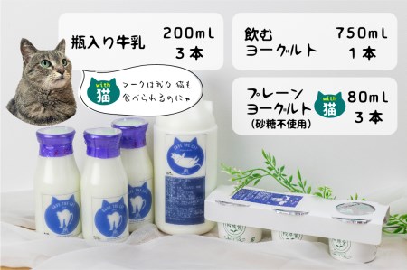 【牧成舎の白猫シリーズ】ヘルシー乳製品セット 牛乳 飲むヨーグルト ヨーグルト  プレーン 人気  (SAVE THE CAT HIDA支援) 8000円 8千円[neko_j_33_u]