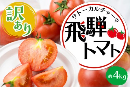《令和8年産先行予約》訳あり 飛騨トマト 約4kg  訳あり