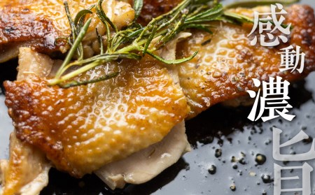 地鶏 鶏肉 もも 飛騨地鶏  焼き鳥 モモ肉 12本 国産 地鶏 国産地鶏 アウトドア キャンプ とり肉[Q2622] 