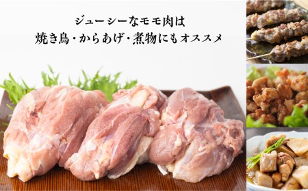 地鶏 鶏肉 飛騨地鶏 モモ肉 2kg もも肉 モモ 国産 地鶏 国産地鶏 唐揚げ チキンソテー 煮物 チキン南蛮[Q2625]