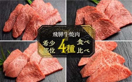  飛騨牛 5等級 希少部位 焼肉4種 食べ比べセット 計1.2kg ( ヒレ / ランプ / イチボ / 心芯 / 各300g) 4種 焼肉用 古里精肉店 A5 a5 牛肉 肉 国産 BBQ ブランド牛 お取り寄せグルメ ギフト セット 食べ比べ お楽しみ 100000円 10万円 飛騨市［Q2850］