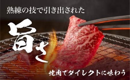  飛騨牛 5等級 希少部位 焼肉4種 食べ比べセット 計1.2kg ( ヒレ / ランプ / イチボ / 心芯 / 各300g) 4種 焼肉用 古里精肉店 A5 a5 牛肉 肉 国産 BBQ ブランド牛 お取り寄せグルメ ギフト セット 食べ比べ お楽しみ 100000円 10万円 飛騨市［Q2850］