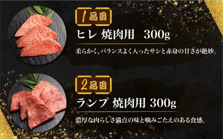  飛騨牛 5等級 希少部位 焼肉4種 食べ比べセット 計1.2kg ( ヒレ / ランプ / イチボ / 心芯 / 各300g) 4種 焼肉用 古里精肉店 A5 a5 牛肉 肉 国産 BBQ ブランド牛 お取り寄せグルメ ギフト セット 食べ比べ お楽しみ 100000円 10万円 飛騨市［Q2850］