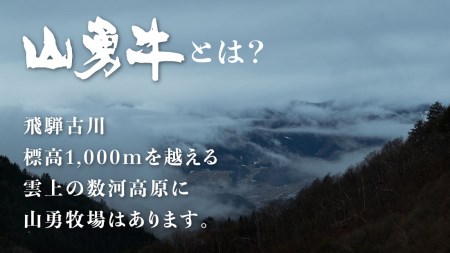 飛騨の牧場で育った熟成飛騨牛『山勇牛』カレーシチュー用すね肉等30日以上熟成［B0061］
