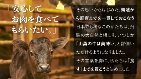 飛騨の牧場で育った熟成飛騨牛『山勇牛』カレーシチュー用すね肉等30日以上熟成［B0061］