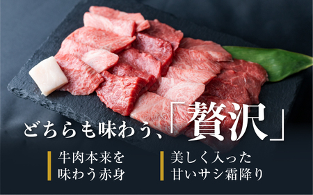 「山勇牛」焼肉用ミックス500g 牛肉 和牛 飛騨牛 肉［D0025］