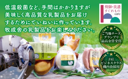 ＜牧成舎＞飛騨の乳製品特選セット(アイス・チーズ・ピザ)[D0004]