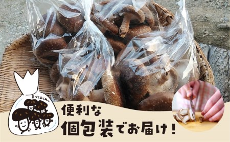 《先行予約》《訳あり》なかだファーム 訳あり しいたけ 1kg 10月下旬以降発送 個包装 椎茸 [Q1377]