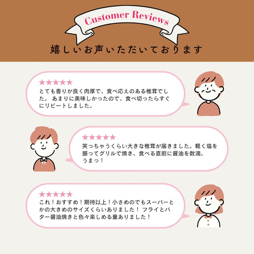 《先行予約》 しいたけ 200g×4 / しいたけ 野菜 訳あり