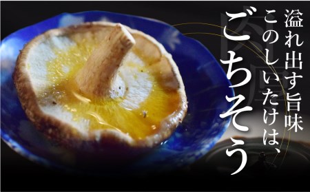 《先行予約》なかだファーム 肉厚生しいたけ 1.1kg 椎茸 個包装  [Q1380x]