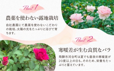 先行予約【6～9月中旬発送】食用バラ100g 薔薇 食べるバラ 花[Q1382] seas25