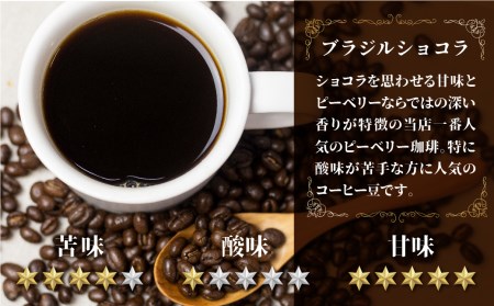 コーヒー豆 ピーベリーおまかせ3種で300g ピーベリーコーヒー豆 OHAKO [Q3001_3_m]
