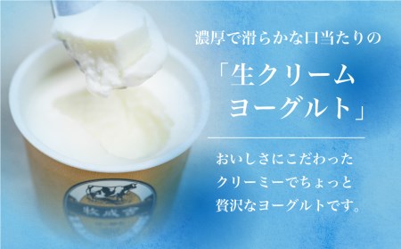 牧成舎カップヨーグルト 6個 訳あり 牧成舎 味おまかせ お楽しみ 福袋 プレーン 砂糖不使用 わけあり [Q1453_u]