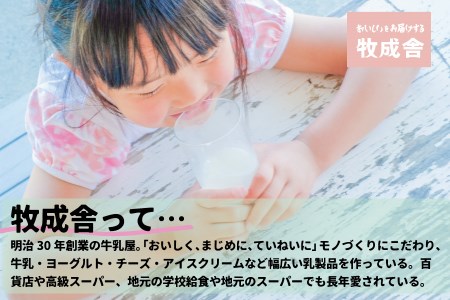 牧成舎カップヨーグルト 6個 訳あり 牧成舎 味おまかせ お楽しみ 福袋 プレーン 砂糖不使用 わけあり [Q1453_u]